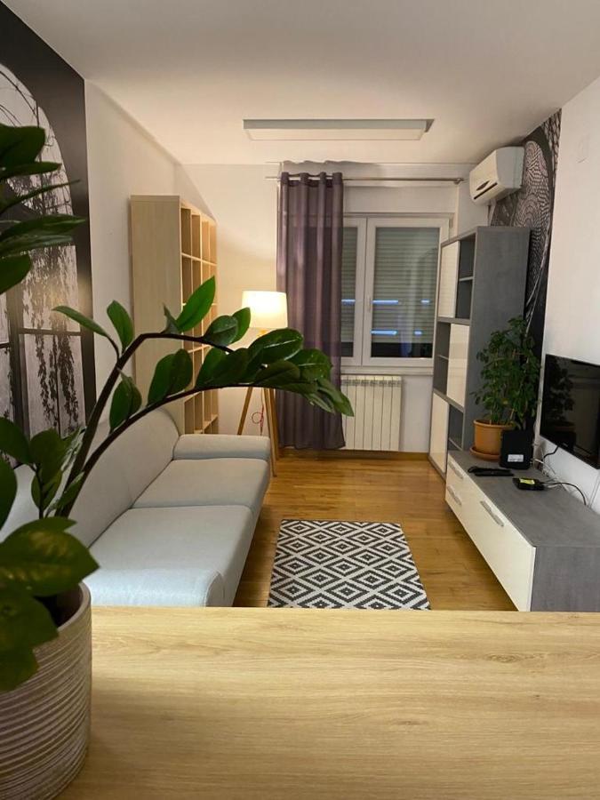 Benvenuti Apartments Beograd Ngoại thất bức ảnh
